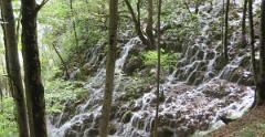 IMG 7757