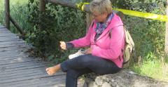 IMG 7774