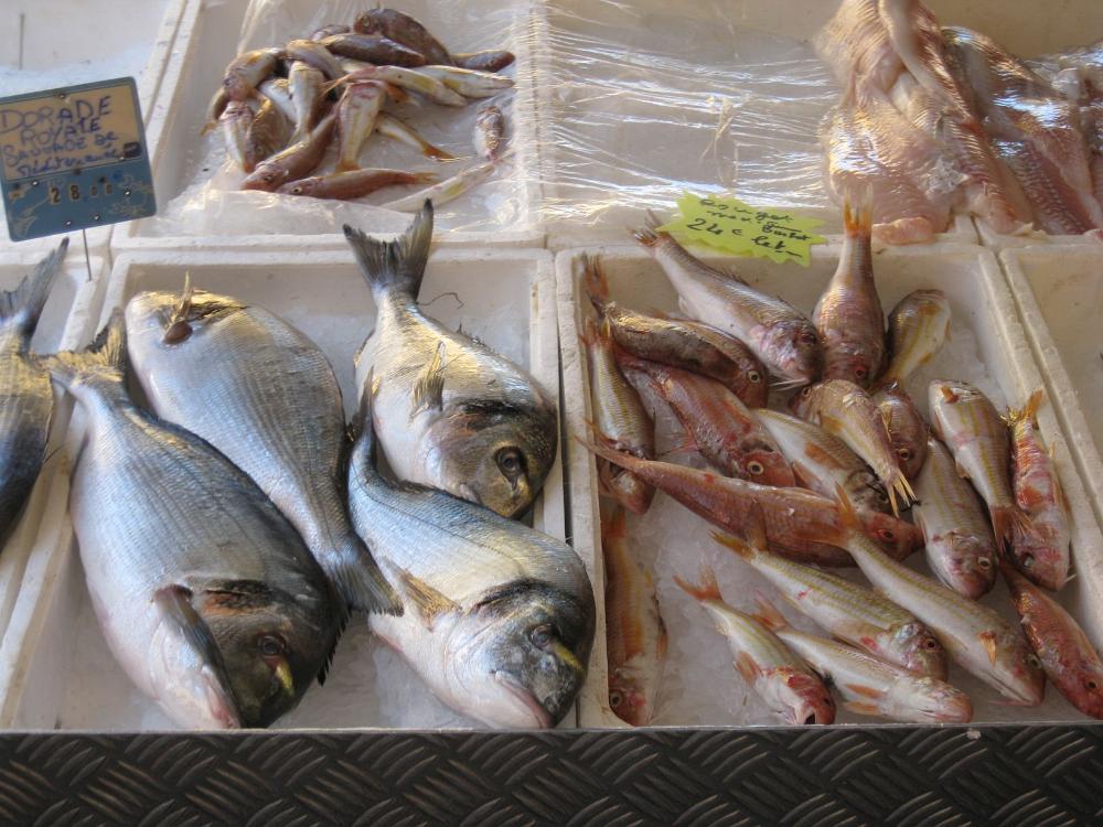 Südfrankreich (235)