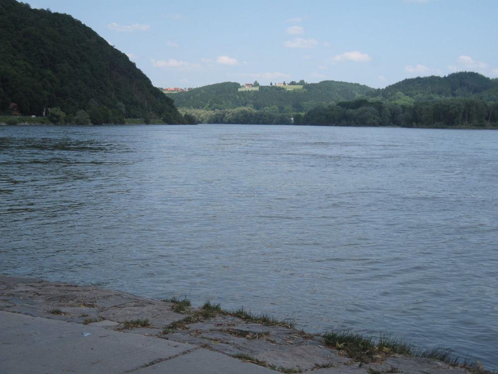 IMG 0403