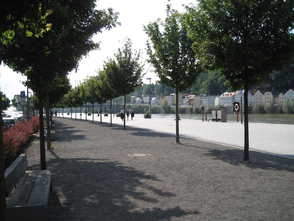 IMG 0409