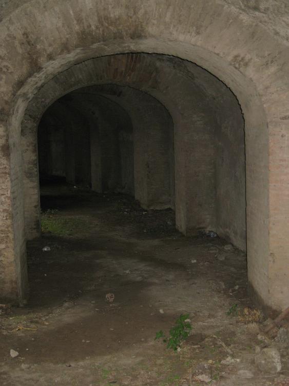 Italien (531)
