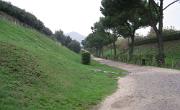 Italien (508)