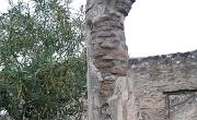 Italien (539)