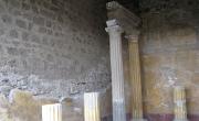 Italien (561)