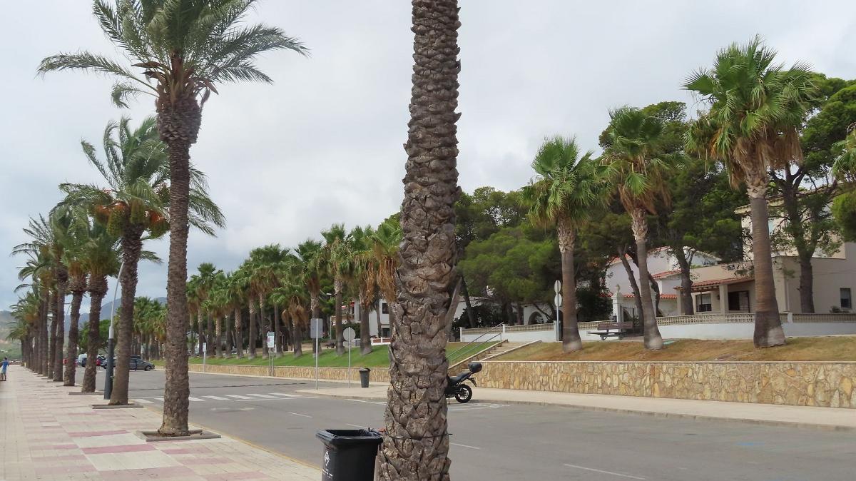 Spanien-2023- (0723)