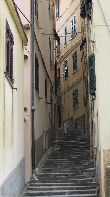 IMG 0692