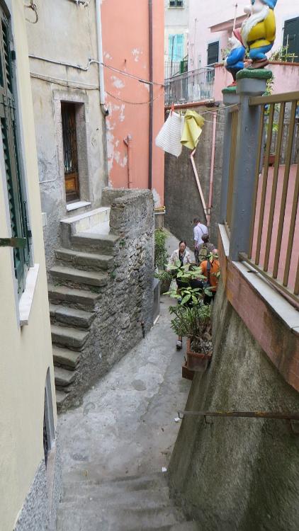 IMG 0708