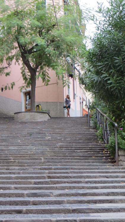 IMG 0724
