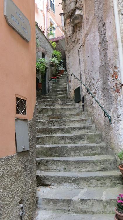 IMG 0731