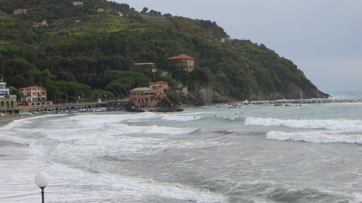 IMG 0762