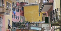 IMG 0691