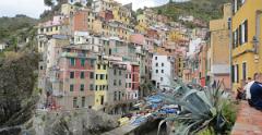 IMG 0705
