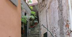 IMG 0731