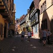 IMG 1351