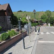 IMG 1421
