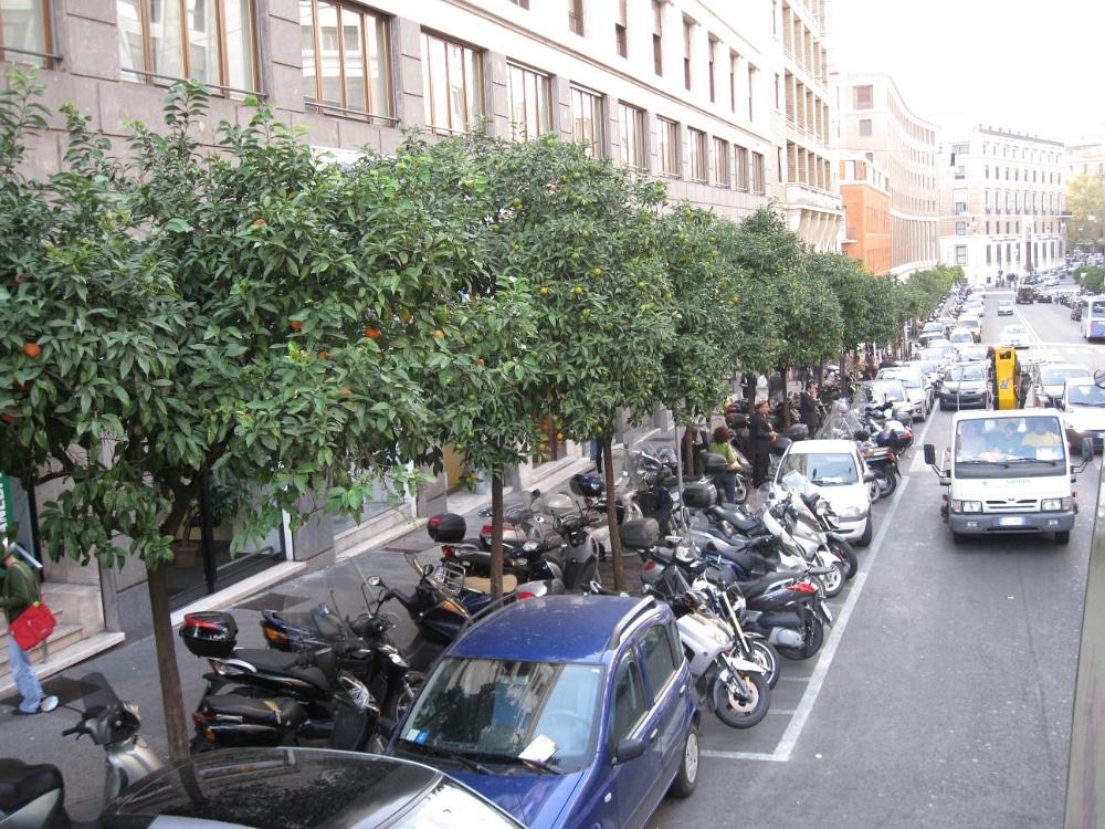Italien (458)