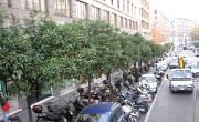 Italien (458)