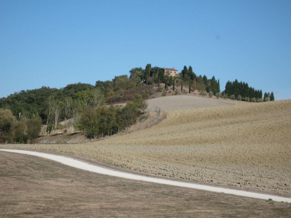 IMG 4084