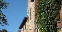 IMG 4061