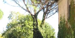 IMG 4081