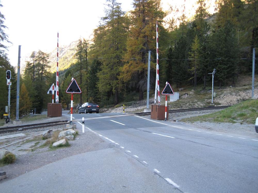 IMG 3613