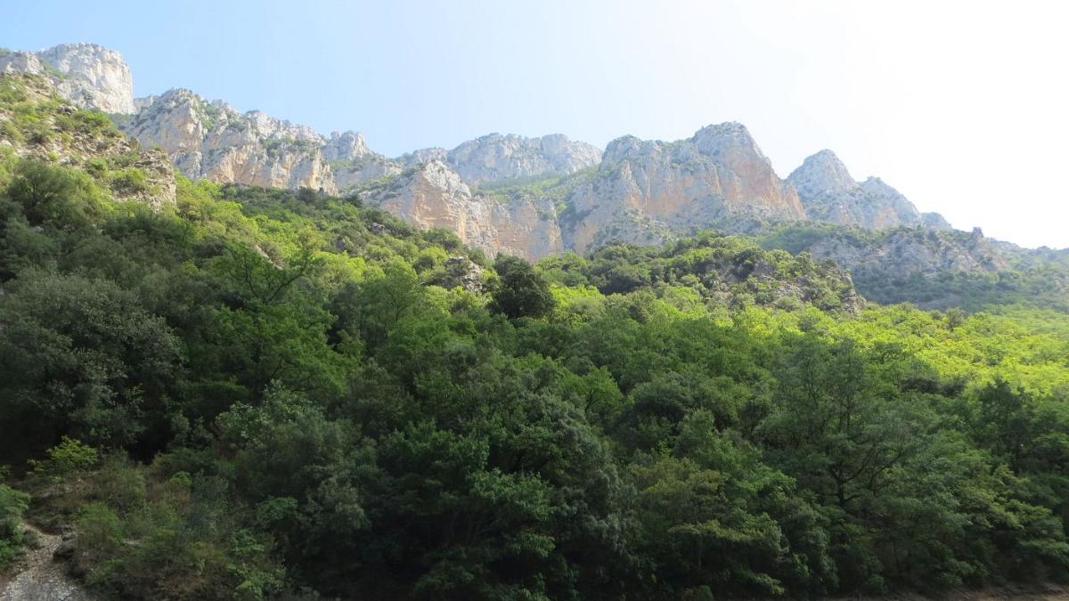Blanes (062)