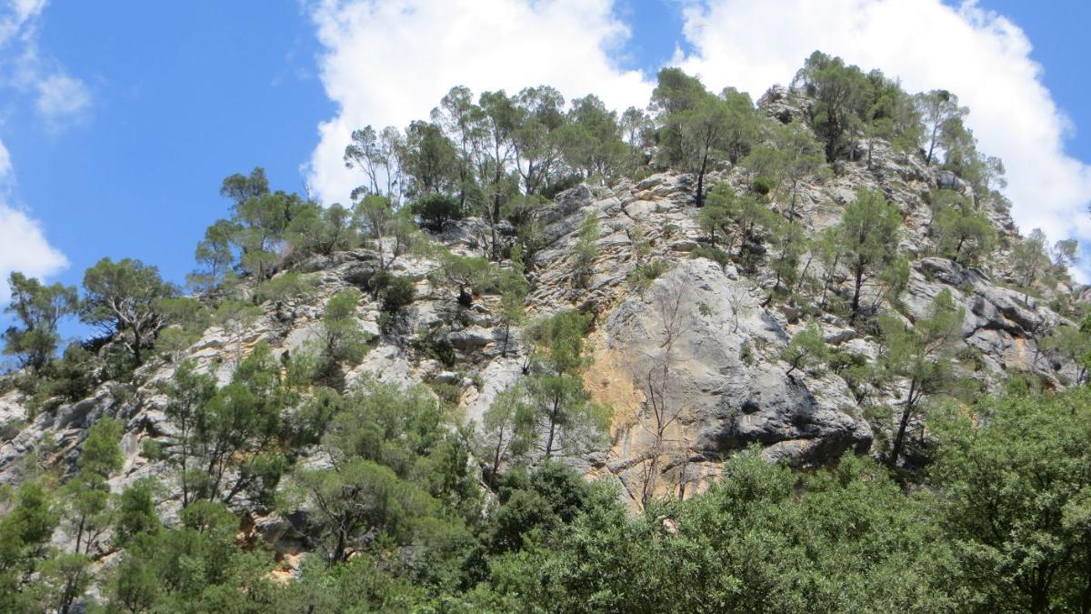 Blanes (076)