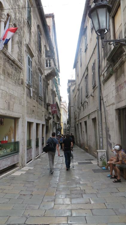 IMG 7480