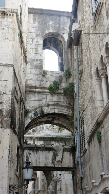 IMG 7481