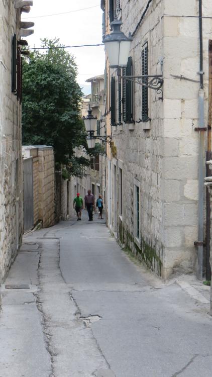 IMG 7545