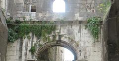 IMG 7488