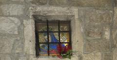 IMG 7515