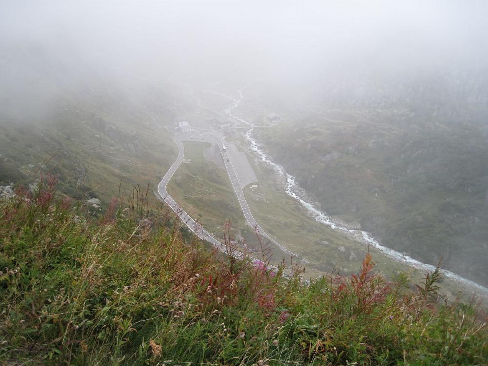 IMG 0874