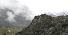 IMG 0868
