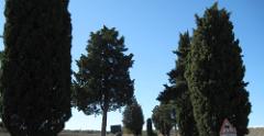 IMG 4192