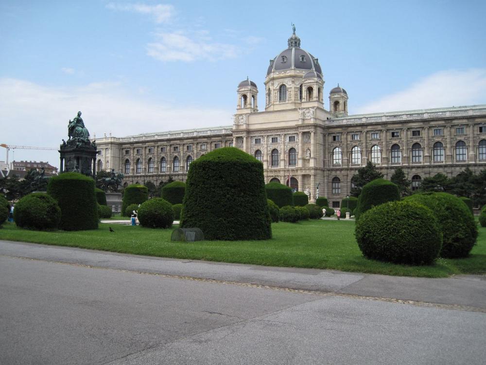 IMG 0532