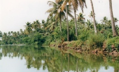 #Backwaters