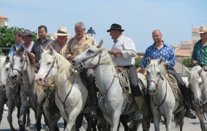 #Camargue