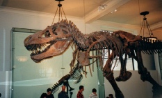 #MuseumofNatural