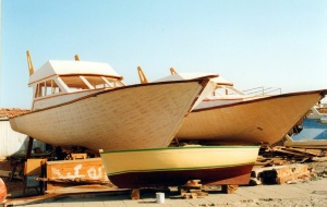 #Vodice