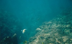 #Unterwasser