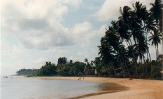 #Lanka