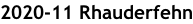 2020-11 Rhauderfehn