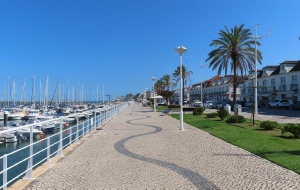 #MonteGordo