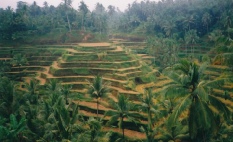 #Bali-Rundfahrt